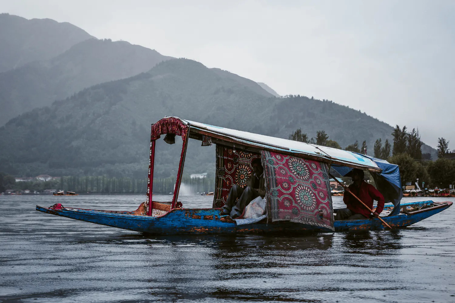 Shikara Rides on Dal Lake