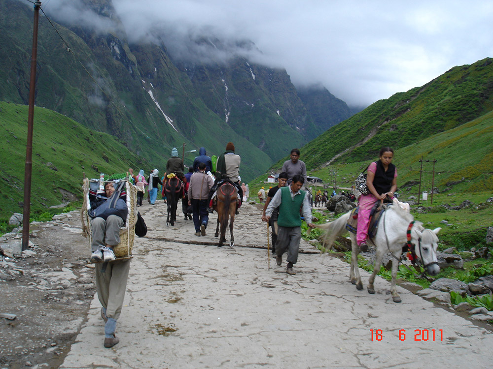 Kedarnath Trekking