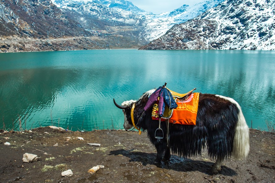 Tsomgo Lake