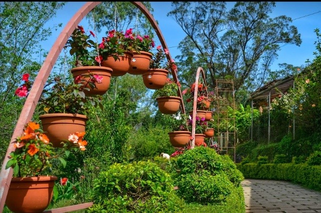 Munnar Rose Garden