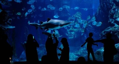 Marine World