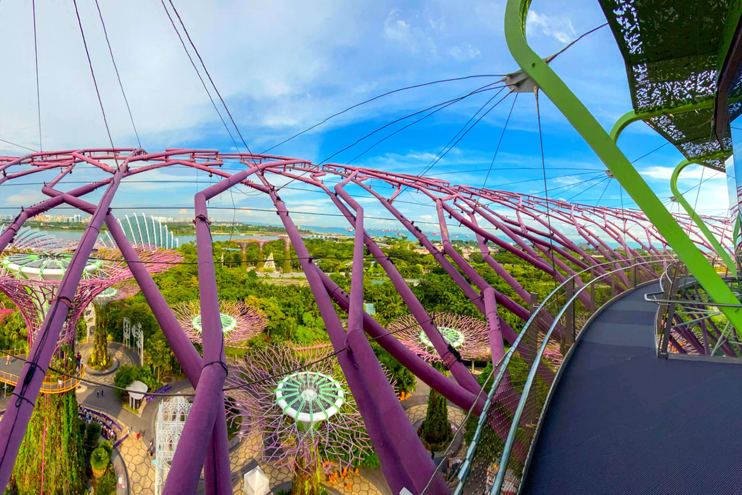 Cloud Forest Observation Deck