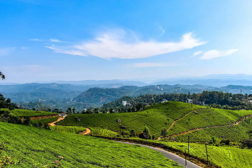 Majestic Munnar - An Exclusive Journey into Nature's Paradise