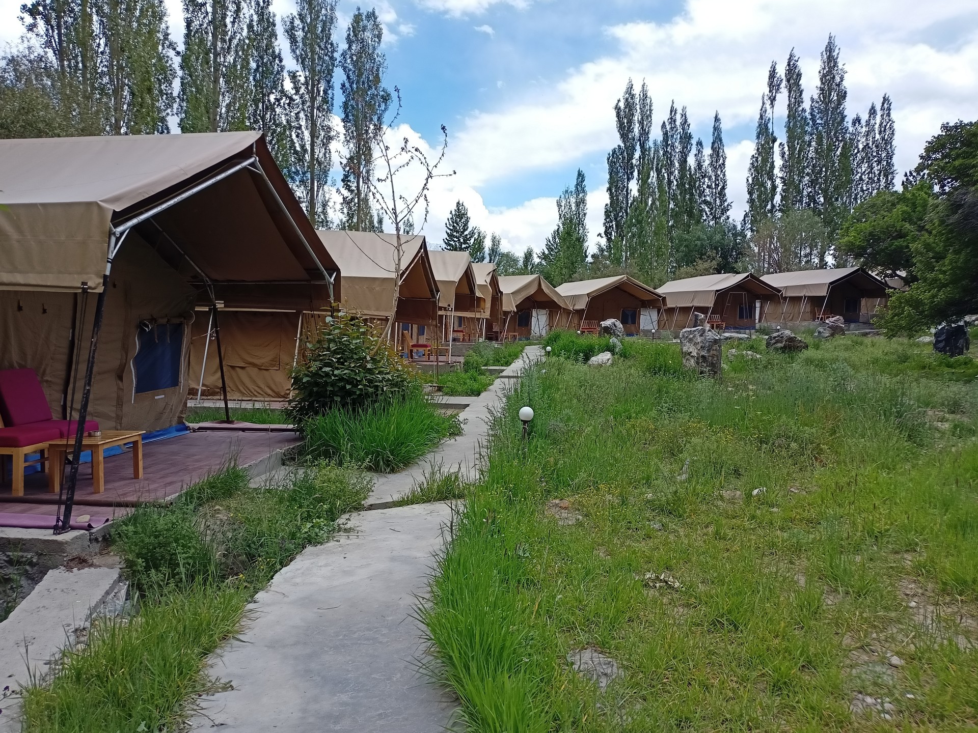 Hunder Apricot Camp Nubra Valley