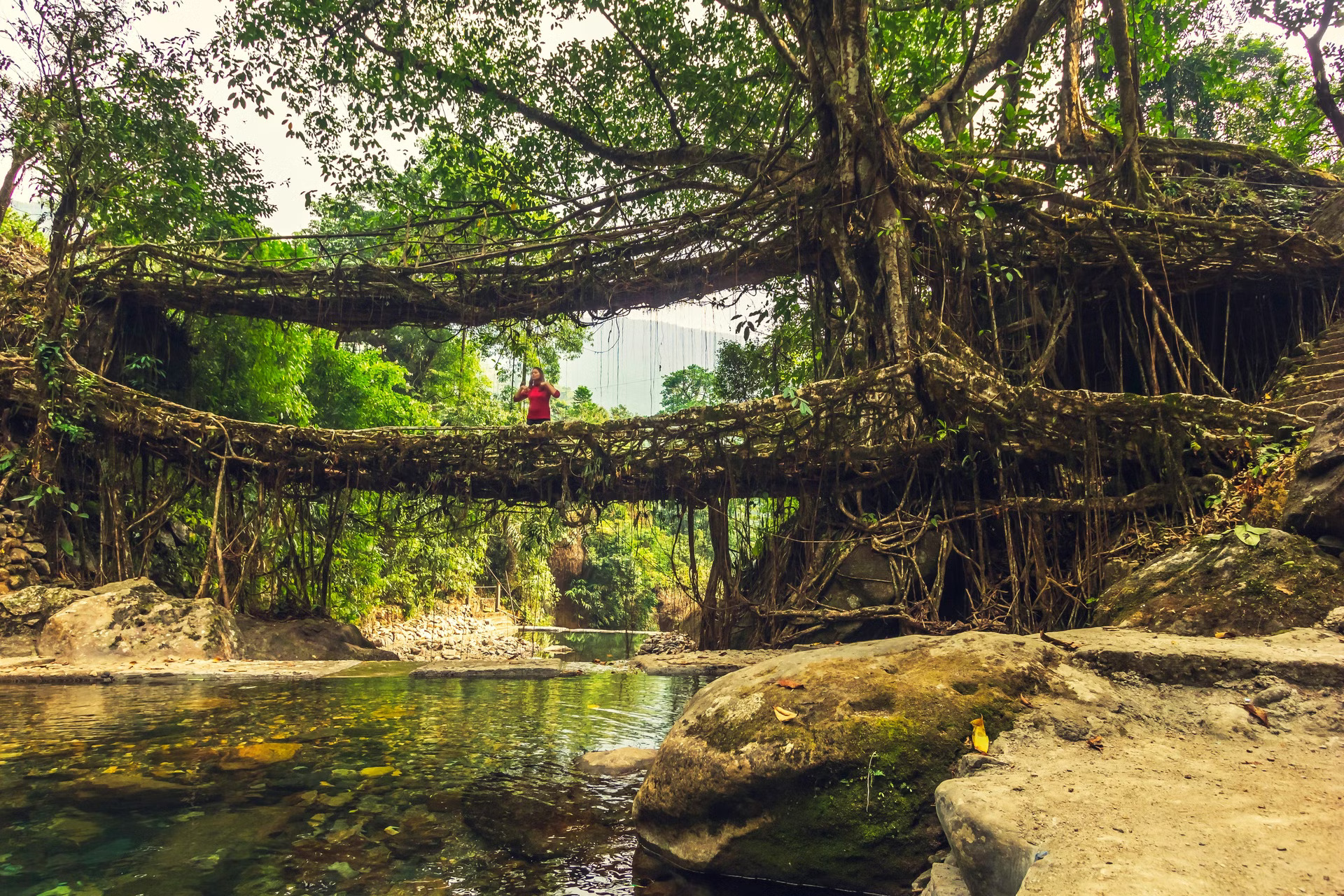 An Adventure in Meghalaya - FREE Living Root Bridge Trek