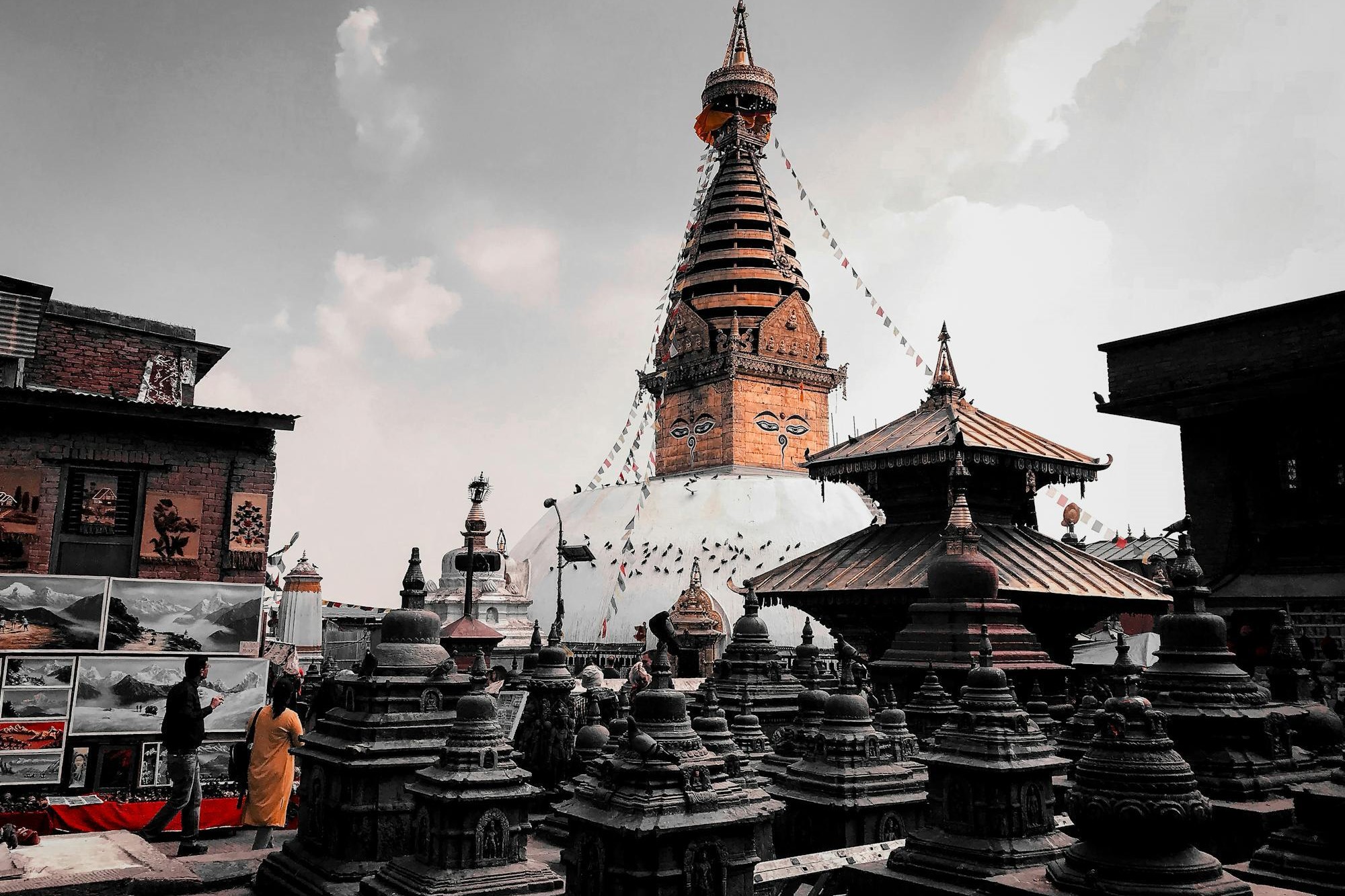 Explore Nepal's Natural Wonders with Divine Nature: Tours, Treks, and More