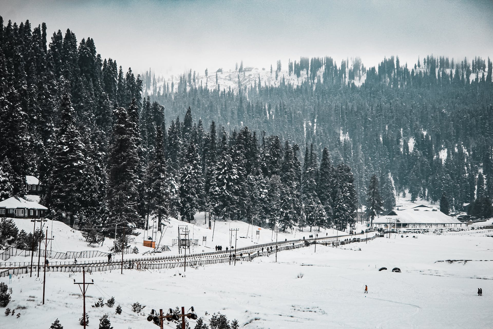 A Short Trip to Kashmir